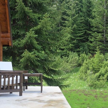 Villa Vikendice Mali Raj Žabljak Exterior foto
