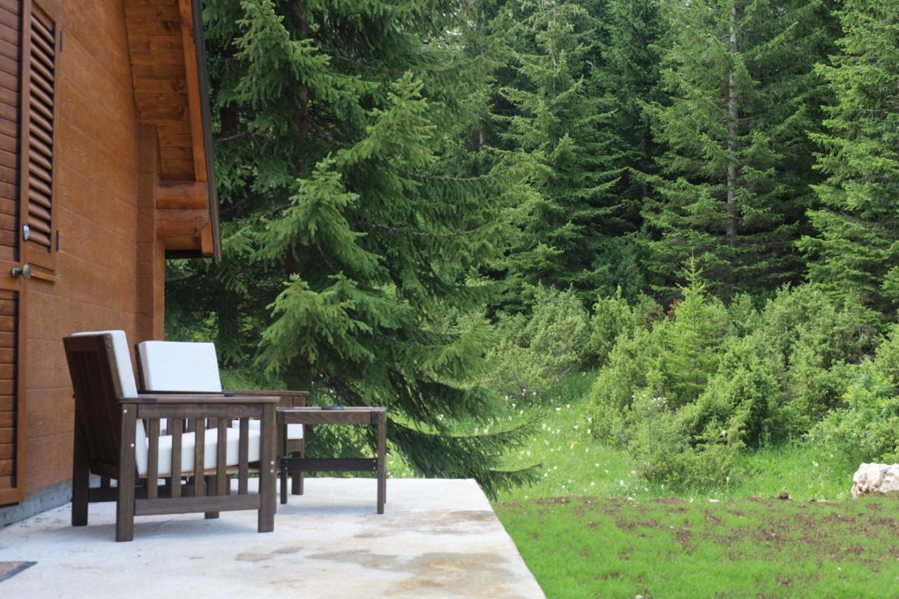 Villa Vikendice Mali Raj Žabljak Exterior foto